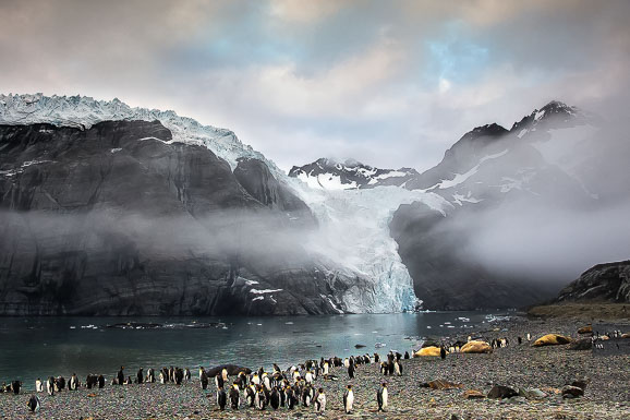 Antarctica and South Georgia Island
