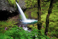 Oregon Oregon