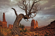 The Rest Of The West