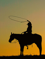 Out West