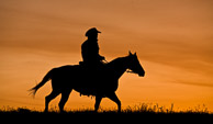 Out West Out West